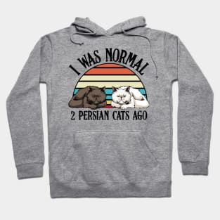 Persian Cat Hoodie